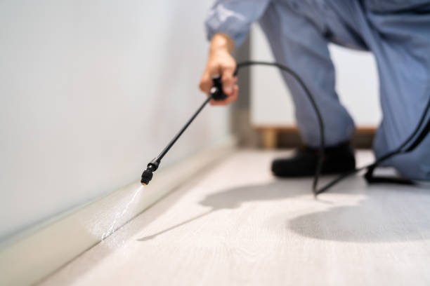 Rodent Entry Point Assessment in Pinellas Park