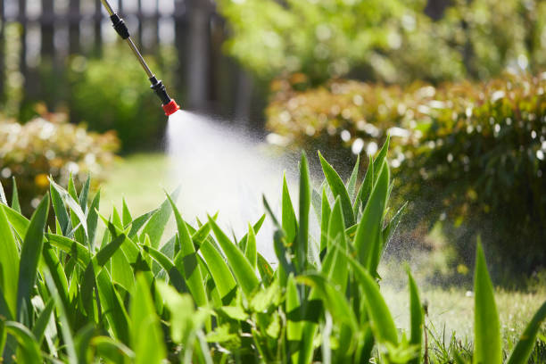 Tamper-Resistant Bait Stations for Rodents in Pinellas Park